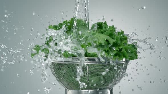 Washing lettuce, Slow Motion