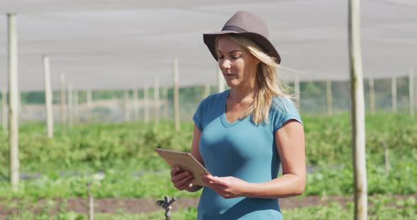 Video of caucasian woman with tablet standing in greenhouse