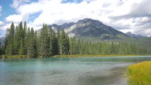 Pan right of Bow River flowing, Banff National Park