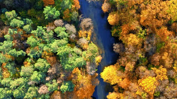 Aerial view of forest and river in autumn at sunrise