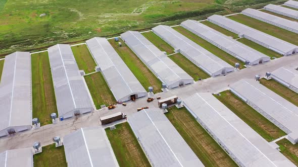 Aerial view on contemporary farm complex. Flight over agricultural territory