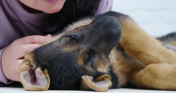 Happy Little Dog Wake Up and Enjoying Hug with Woman