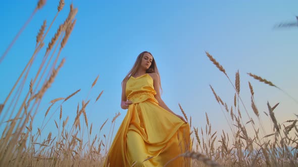 Beautiful Woman in Dress at Sunset in a Wheat Field.