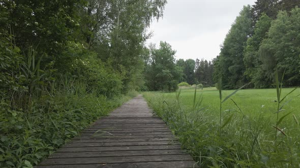 Wooden path in a swamp in the forest of Bavaria