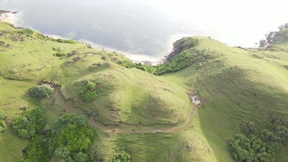 Green hill on the beach