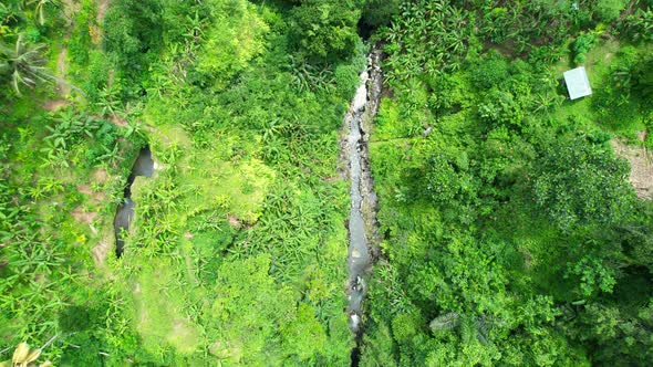 aerial top down of a river stream in tropical jungle of Bali Indonesia