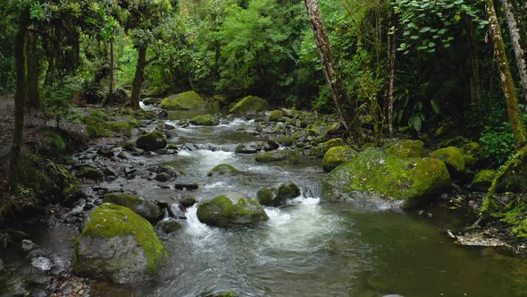 Aerial Drone View of River in Costa Rica Rainforest Scenery, Beautiful Nature with Water Flowing Thr