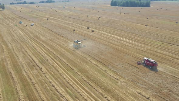 Agricultural Combines Harvest Ripe Wheat Crops On Farm Field Aerial View