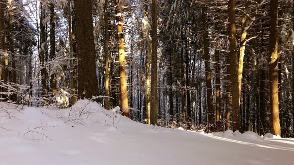 Sunny Winter Day in Mountains