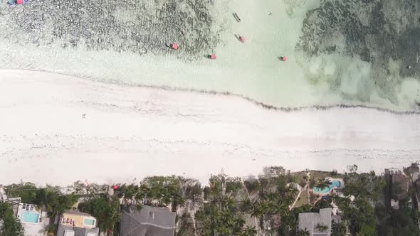 Vertical Video of the Beach on Zanzibar Island Tanzania Aerial View