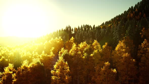 Bright Sunset in the Mountains