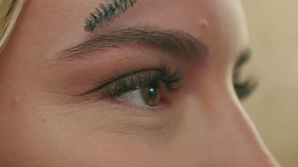 Makeup Artist Combs the Eyebrows, Prepearing Model