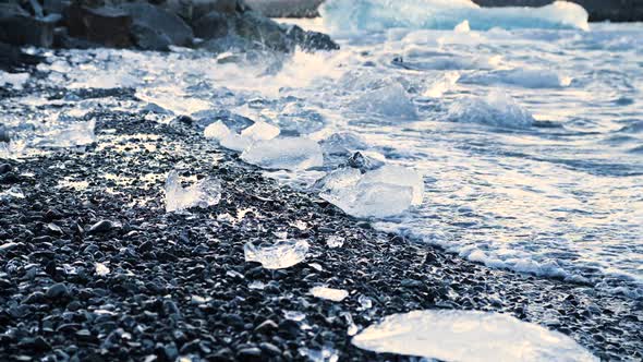 Chunks of Ice on Black Sand Global Warming Climate Change Concept Icebergs in Jokulsarlon Glacier