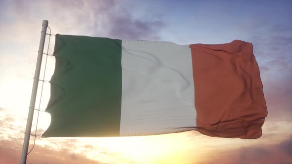 Flag of Ireland Waving in the Wind