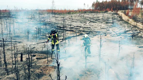Smoldering Woods with Two Firefighters Extinguishing Them