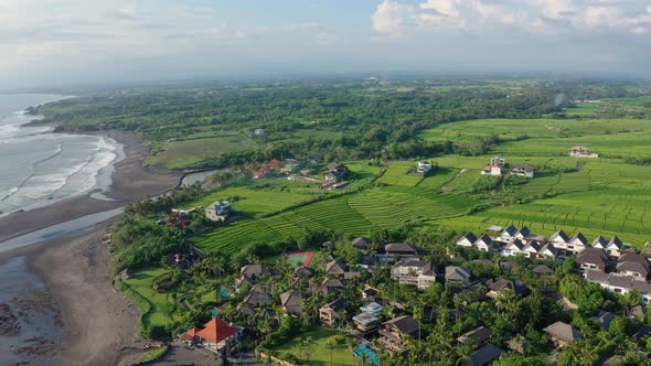 Aerial Footage of Black Volcanic Beach, Green Rice Terraces. Bali, Indonesia