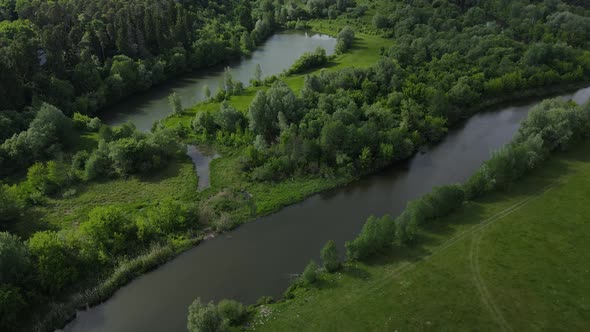 Rural Landscape, River Channels. Dense Forests. Landscape