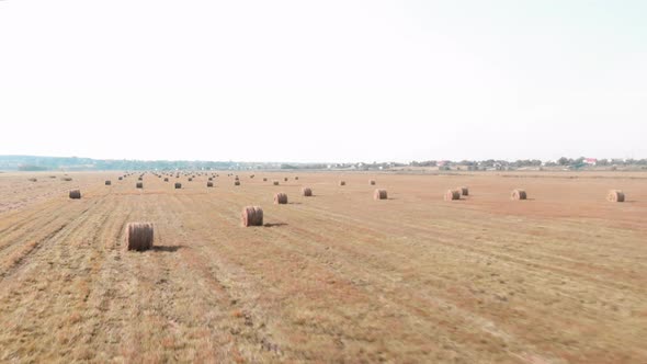 Stacks of baled hay on agriculture farm field after harvesting.