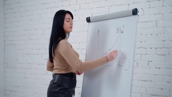 Young businesswoman writing on the whiteboard