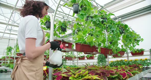 Woman Watering and Feeding Flowerpots with Polivizator