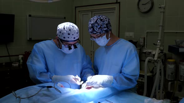 Surgeons Perform the Operation