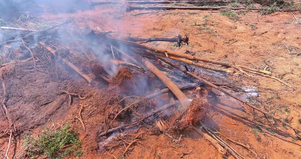 The Land Preparation Process for the Construction of a Forest Burning Which Has Been Uprooted