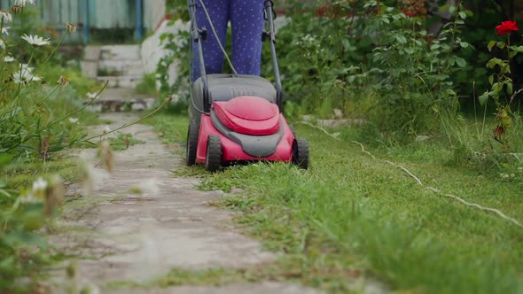 girl is mowing grass by lawn mower around flower pots with roses in the garden