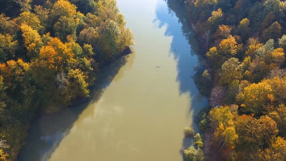 Aerial drone view of colorful beech forest in autumn. 