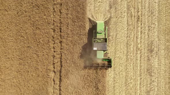 Combine harvester gathers the wheat crop. Farming concept. Top view