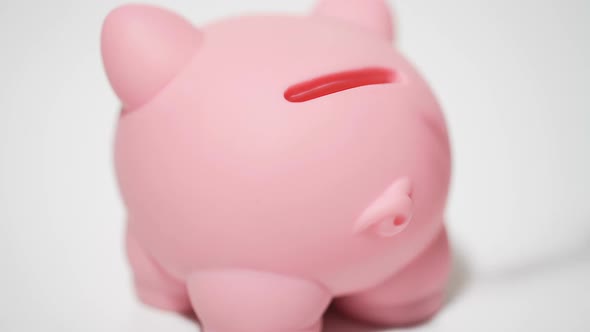 Hand of Woman Putting Dollar Banknote in Piggy Bank, Saving Money, Bank Account