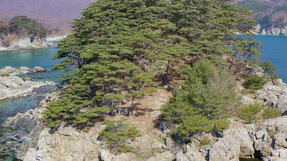 Rocky Island Washed By Waves Covered with Coniferous Trees in a Sea Bay