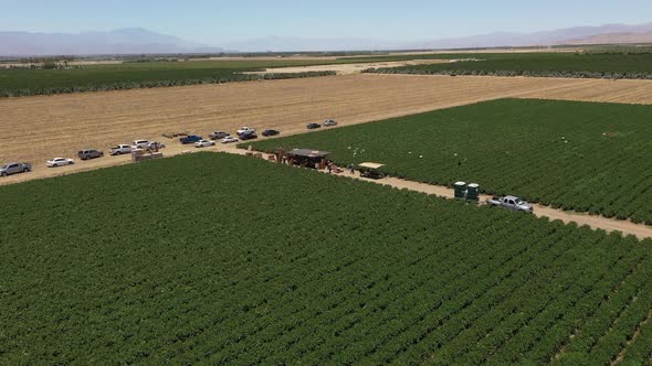 Drone footage of an American farmer working on a field in the Palm Spring Valley, near  Los Angeles,