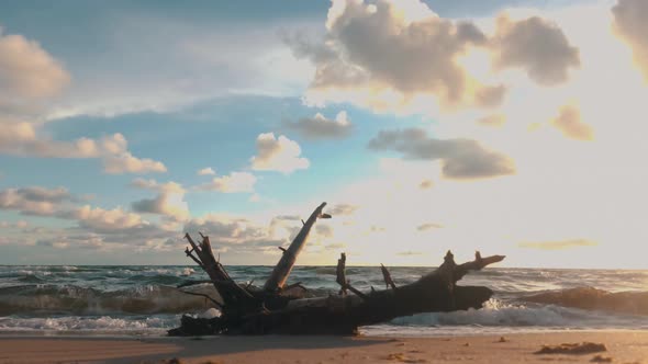 Colorful Sunset on the Baltic Sea, Latvia. Waves Slowly Rolling in on the Beach