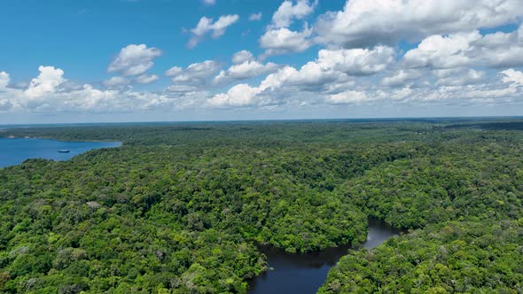 Stunning landscape of Amazon Forest at Amazonas State Brazil.