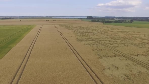 Aerial Video Of A Yellow Field In The Summer