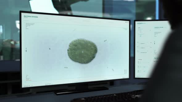 Scientific Research Of A Bacteria Division Used In An Advanced Microbiology alt