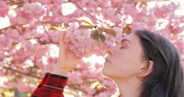 Young attractive brunet girl smelling blooming sakura cherry tree in Tokyo, Japan.