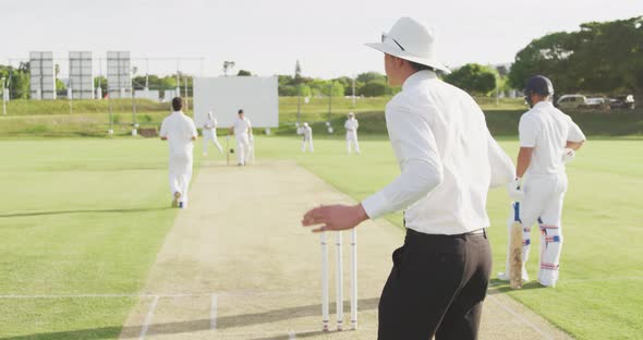 Rear view of cricket umpire making signs