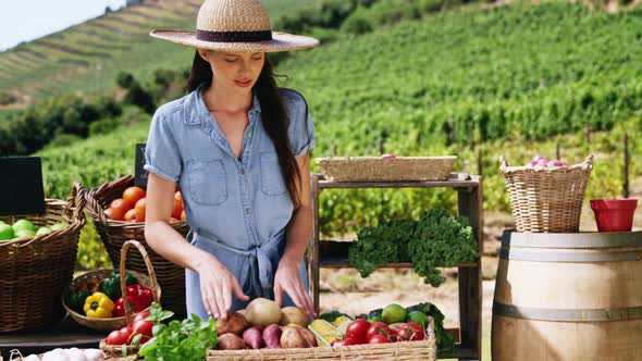 Woman arranging fresh vegetables in basket at farm