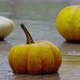 Pumpkin - VideoHive Item for Sale