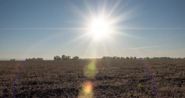 Flat Hill Meadow Timelapse at the Summer Sunset Time