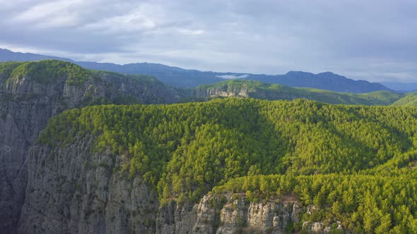 Aerial View of Dense Green Forest on the Peaks of Tazi Canyon in National Park on Manavgat Antalya