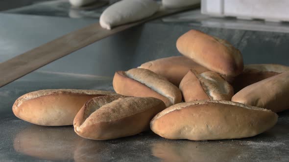 Close Up of Freshly Baked Bread on Baking Tray at Bakery