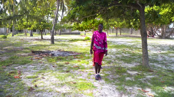 African maasai man in traditional clothing walking in palm grove.