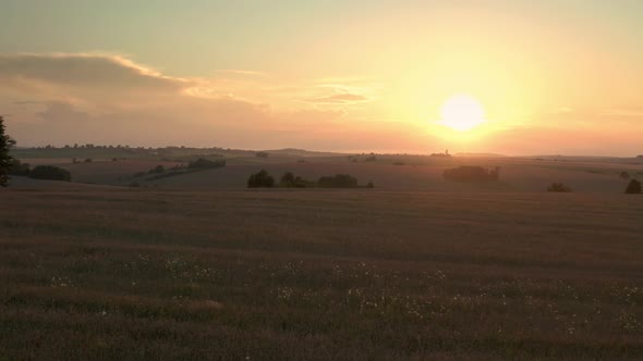 Aerial Drone View Flying Over a Wheat Field During Sunset. V2