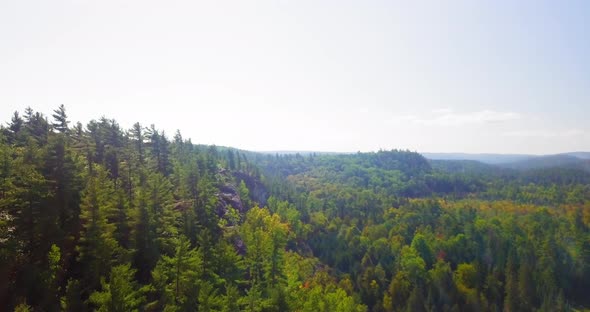 Gorgeous 4K aerial shot of a forest and rocky cliffs on a beautiful sunny day.