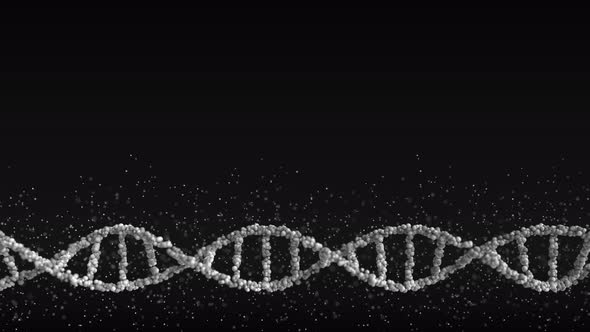 Moving Gray DNA Molecule Model