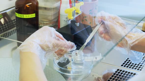 Female Scientist Working With Laminar Flow