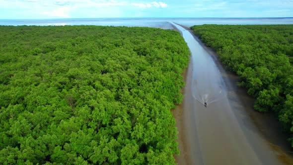 4K : Aerial view over mangrove forest at Khlong Khon, Samut Songkhram, Thailand