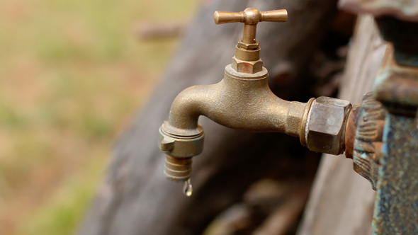 Dripping Tap Rack Focus